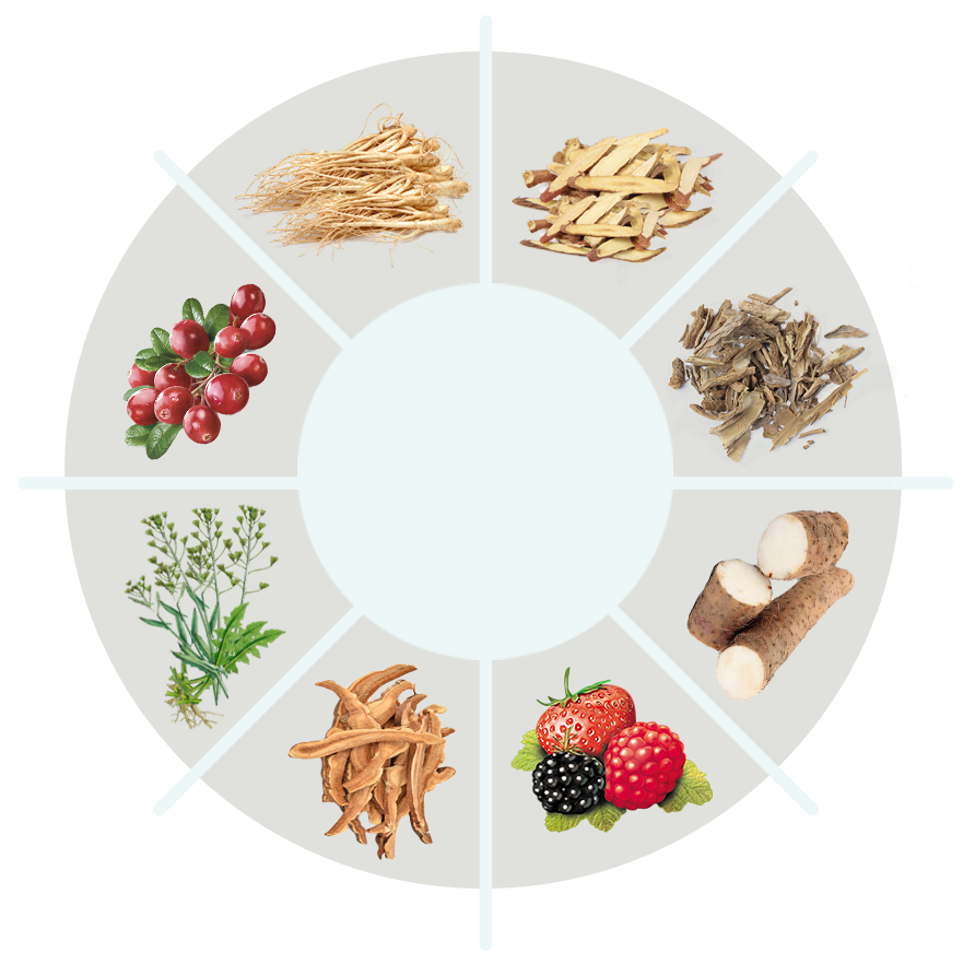 Calorie Active Diet Spray ingredient wheel